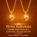 Rudraksha Pendant Combo (Pack of 2)